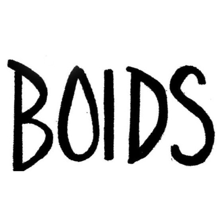 BOIDS