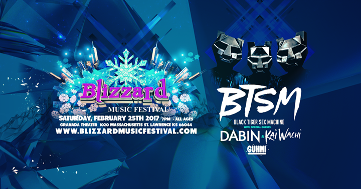 Borda Presents :: Blizzard Music Festival II