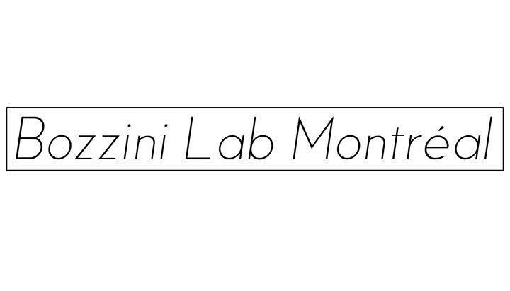 Bozzini Lab Montréal - Concert