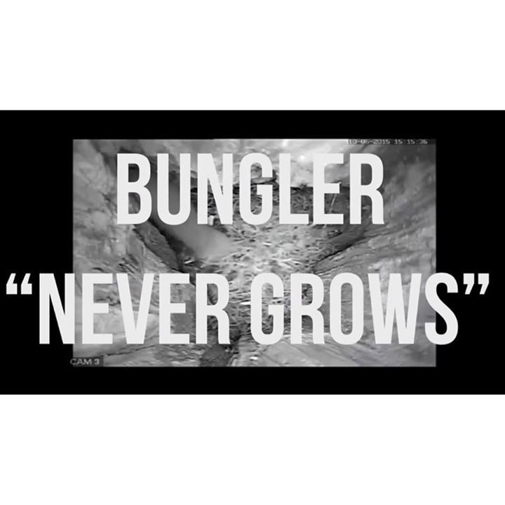 Bungler
