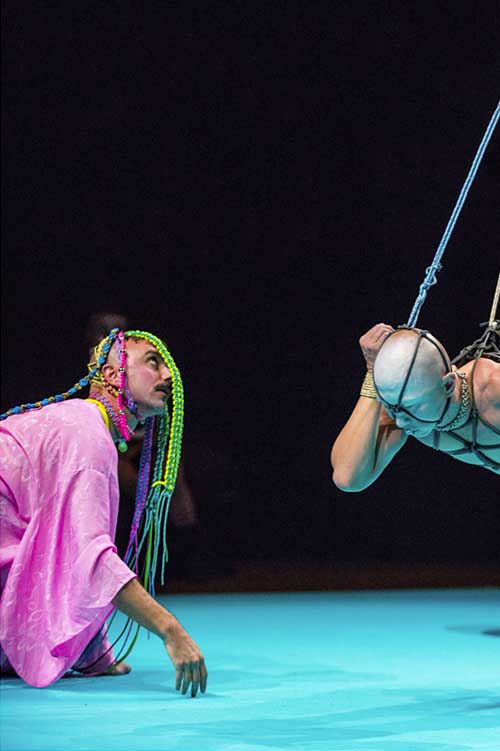 Bunny - Luke George et Daniel Kok