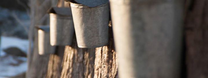 Cabane à sucre des étudiantes et étudiants internationaux