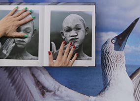 Camille Henrot : Grosse fatigue