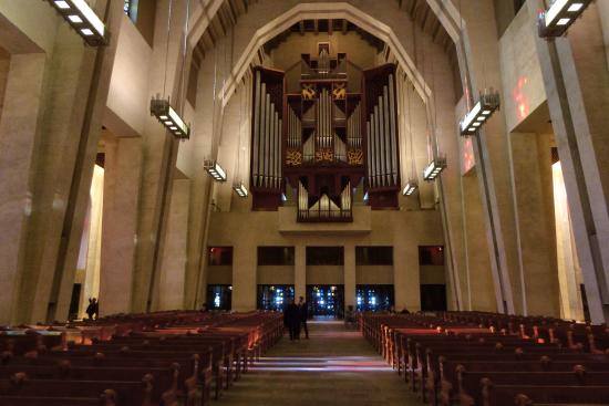 Cathédrales en musique: Daniel Brondel