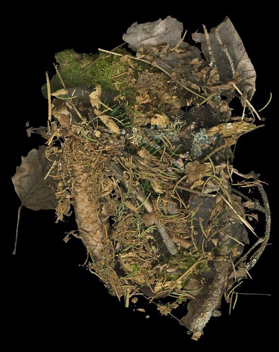 Causerie: Le côté sombre d’une coupe à blanc