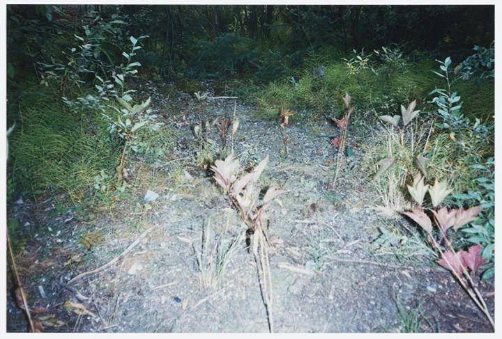 CCA & OSM: Paysages sonores pour le temps présent