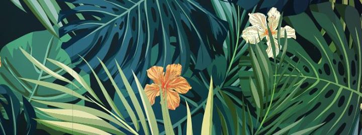 Chaleur et Sangria des cycles supérieurs