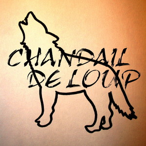 chandail de loup at Unknown venue (May 16, 2015)