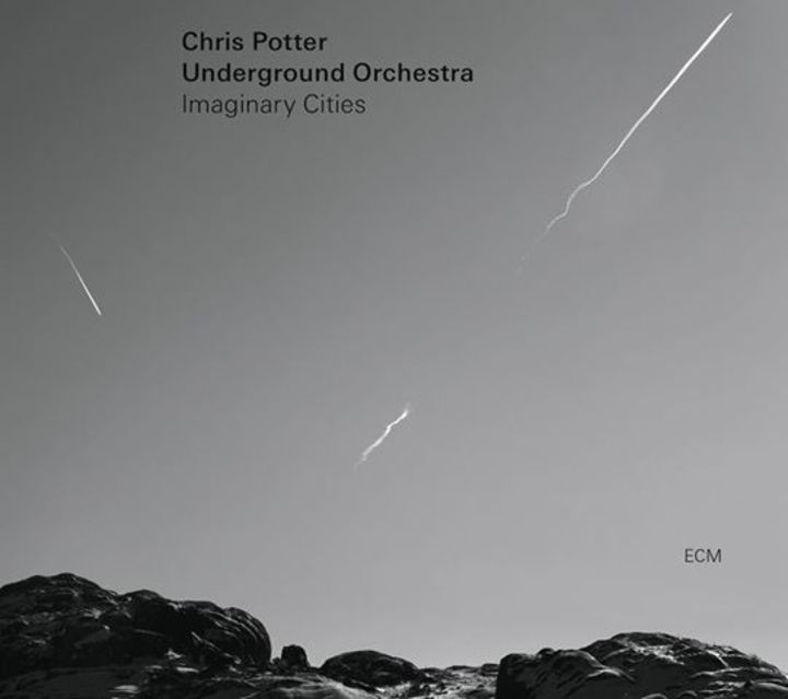 Chris Potter