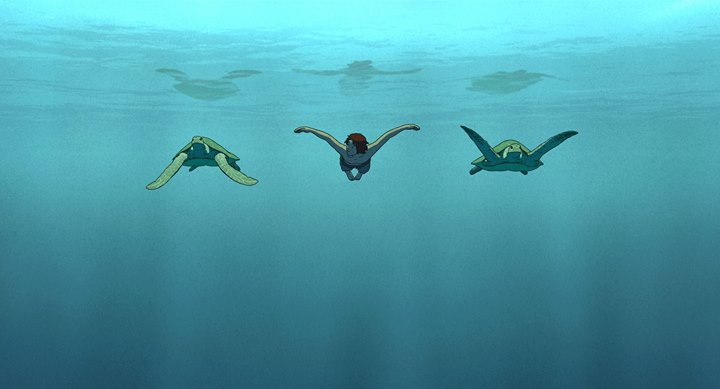 Ciné-campus - La tortue rouge