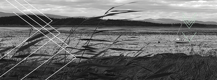 Ciné-Campus - Pipelines, pouvoir et démocratie