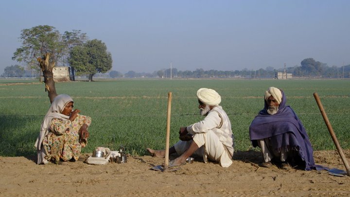 Cinéma - Les dépossédés