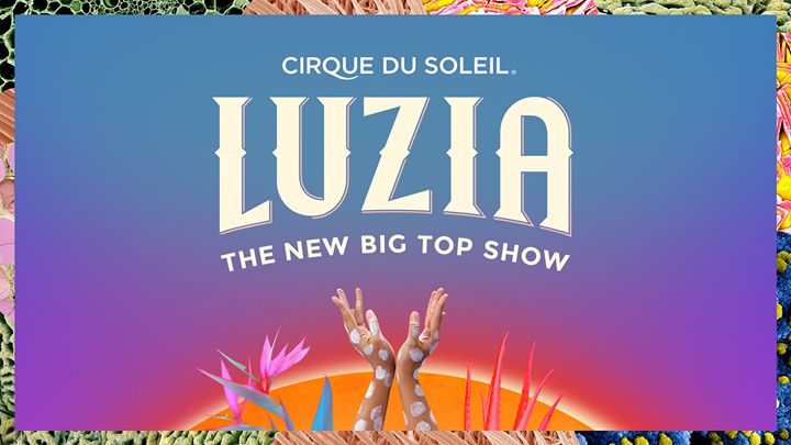 Cirque Du Soleil : LUZIA