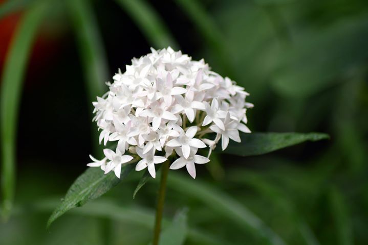 Coaching pour femmes : ADIEU les résolutions