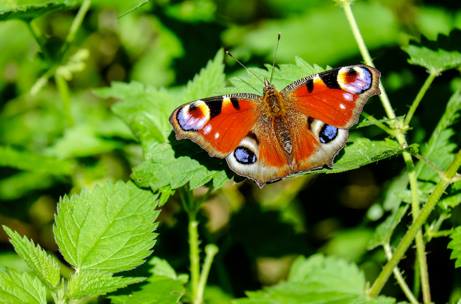 Coaching pour femmes : adieux les résolutions