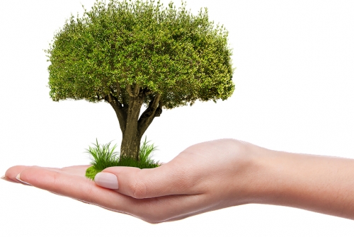 Cocktail-conférence Cataléthique - Relever le défi climatique : l'opportunité du marché volontaire du carbone