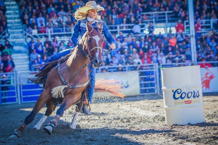 Compétitions de Rodéo au NomadFest