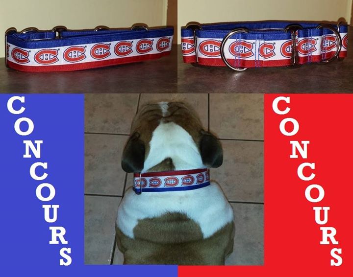Concours: Gagnez Un Collier Pour Chien Des Canadiens de Montréal