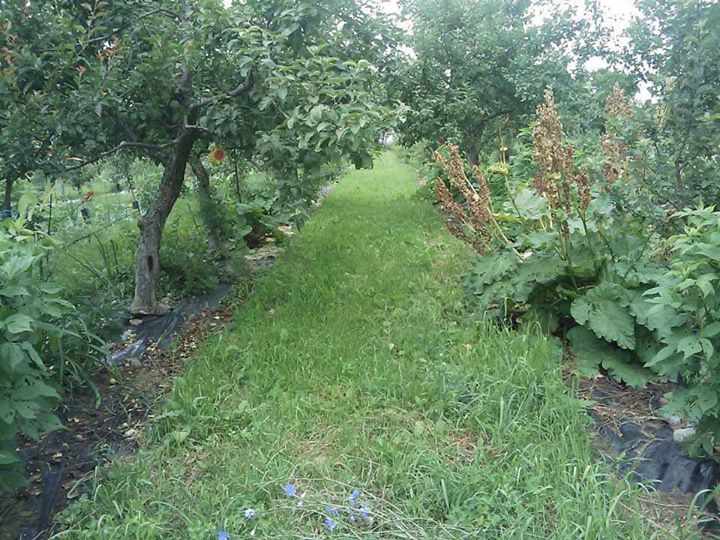 Conférence sur la Permaculture avec Stefan Sobkowiak