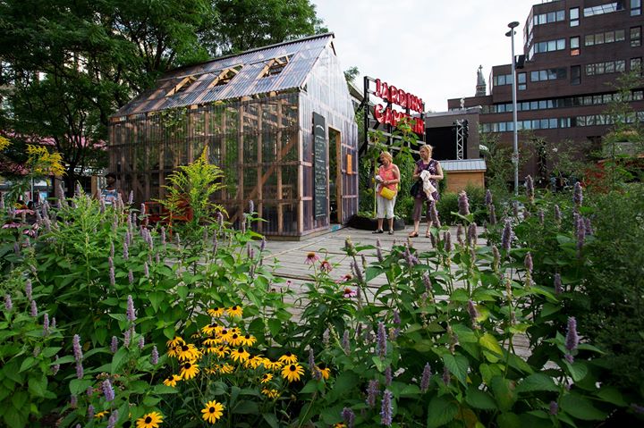 Conférence - Histoire et évolution de l'agriculture urbaine