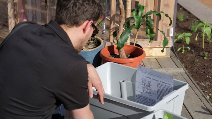 Conférence - Le compost par mouche soldat