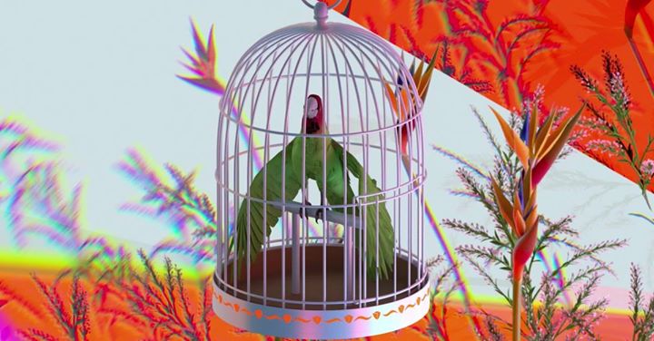 Contrastes: la Nuit blanche au Centre Phi