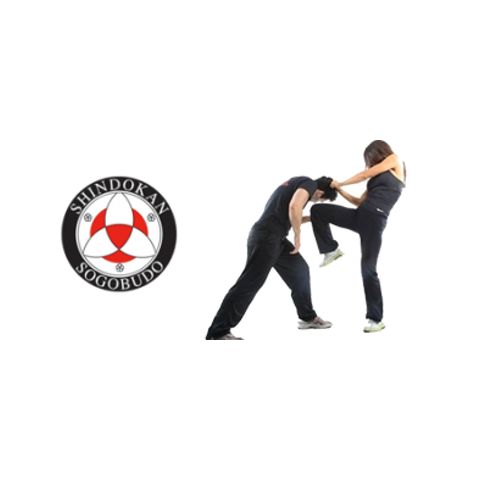 Cours d'autodéfense pour femmes. Date: Dimanche 15 novembre 2015