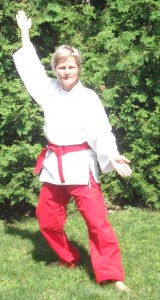 Cours gratuit de Kin-Jo