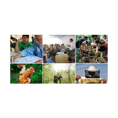 Cours pratique de design en permaculture - PDC+ 2016