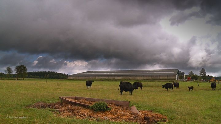 CSE16 - Les Liberterres au Forum Social Mondial