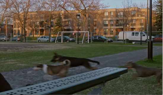 CSE16 - Les Vaillants