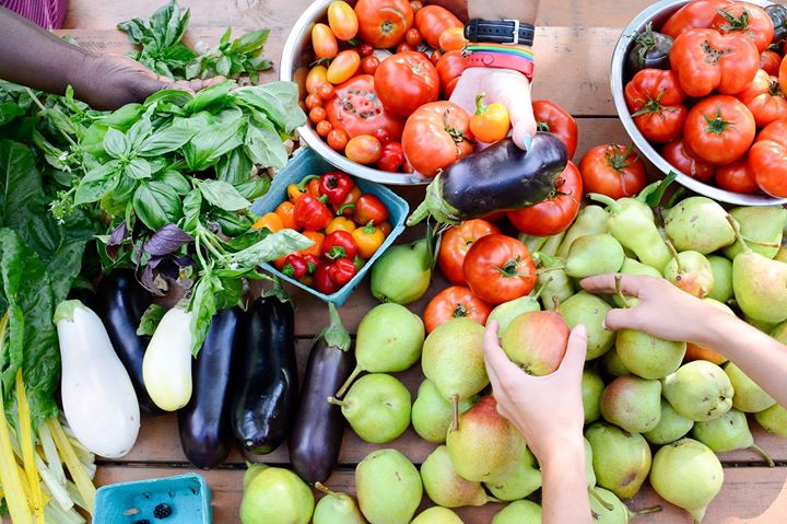 Cultivons Bordeaux-Cartierville- Jardinage écologique!