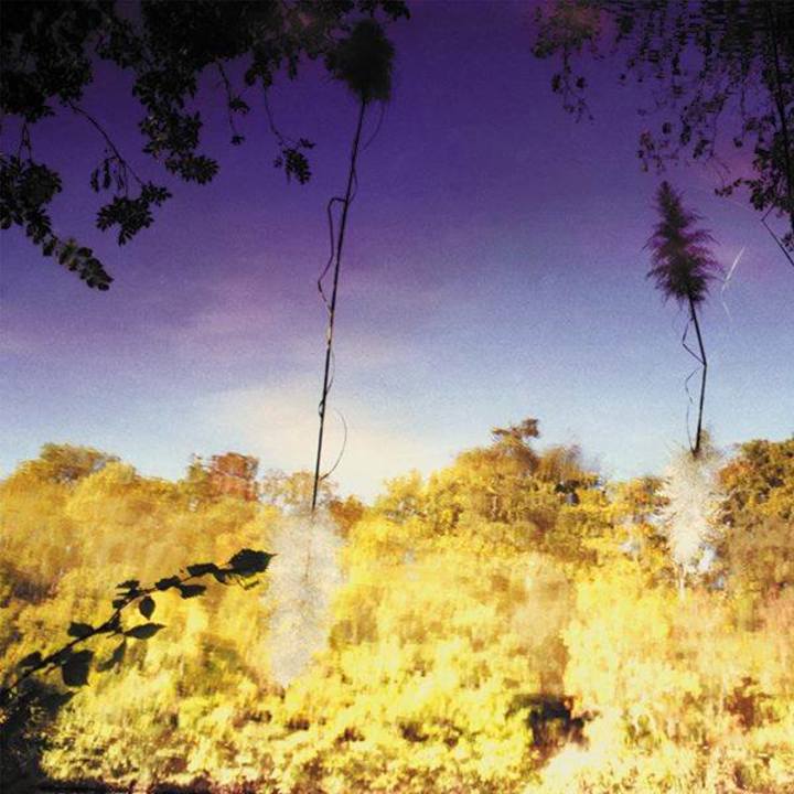 Dan + The Advent + Mike Laz