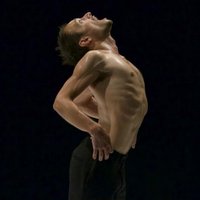 Data - Festival TransAmériques