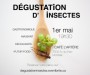 Dégustation d'insectes