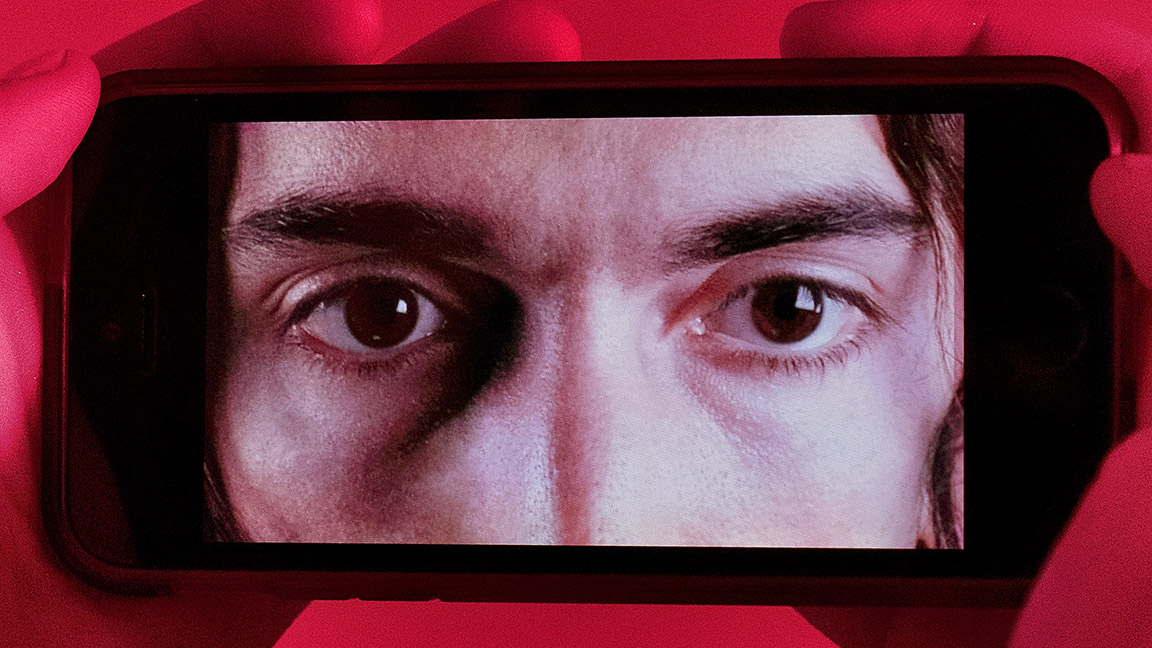 Delicate Steve, Fascinator