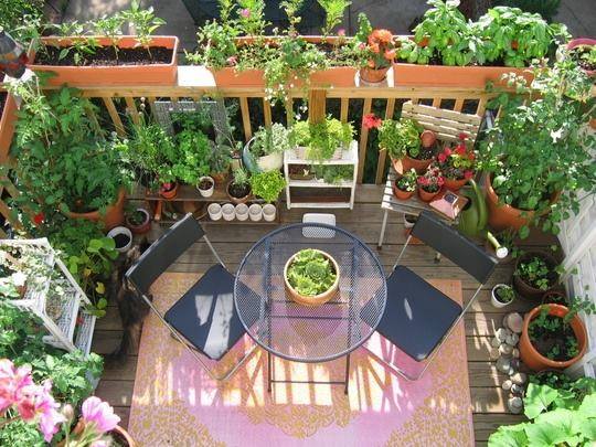 Design Your Ultimate Balcony Garden!