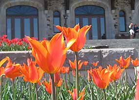 Dimanches en musique au Chalet du Mont-Royal