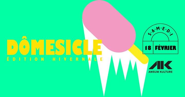 Dômesicle hivernal #7