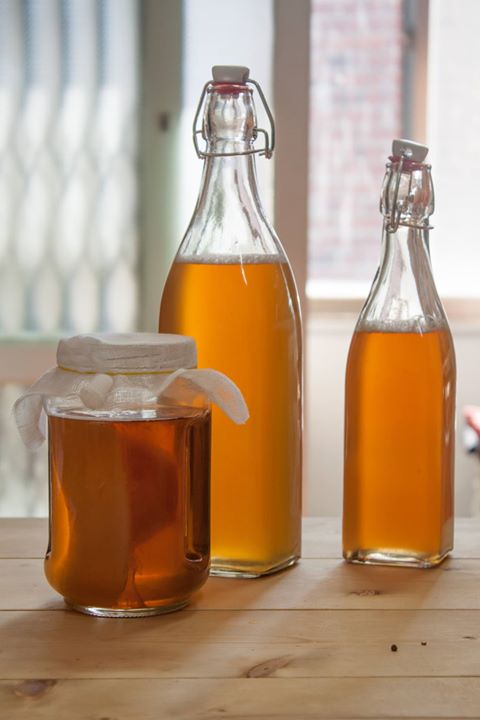 Démonstration et préparation de kombucha