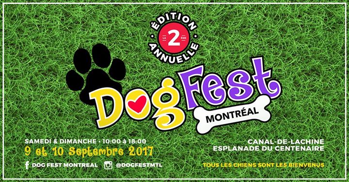 Dog Fest Montreal 2017