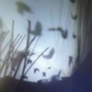 Dominique Leroux : Traces_Installations insulaires