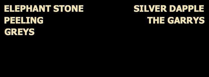 Elephant Stone / Peeling / Greys / Silver Dapple / The Garrys