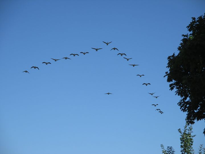 En quête de sens pour les 17-25