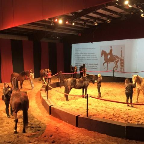 Et si votre cheval était un artiste?