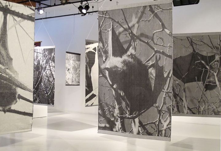 Exposition: Échos de Woolloomooloo