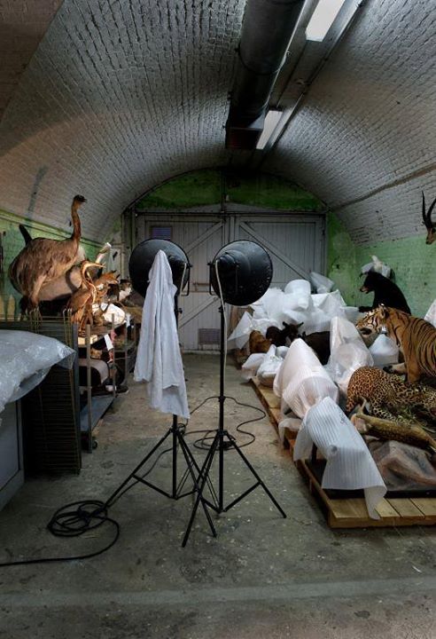 Exposition : En//chantier, au coeur des collections