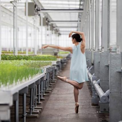 Exposition photographie BALLET