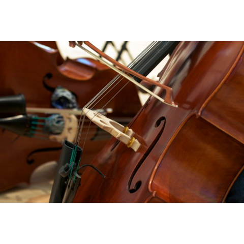 Festival Bach de Montréal