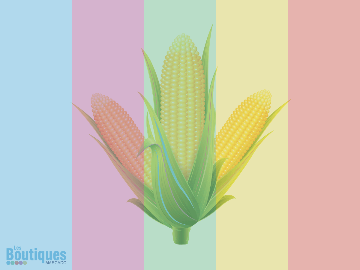 Festival du blé d'inde